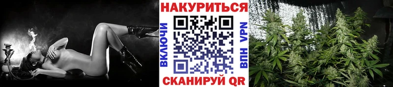 Виды наркотиков купить Лесной Конопля  Codein  ГАШИШ  Мефедрон  Cocaine  Альфа ПВП 