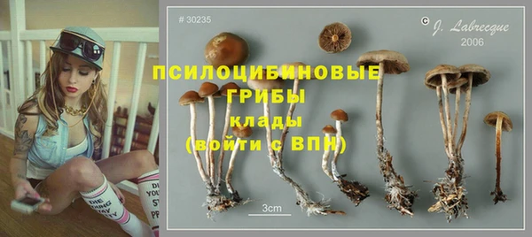 молекула духа Кинешма