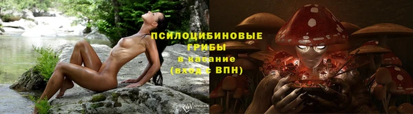 ГАЛЛЮЦИНОГЕННЫЕ ГРИБЫ Барнаул