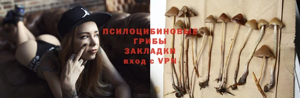 молекула духа Кинешма