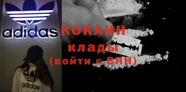 молекула духа Кинешма
