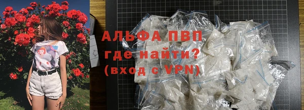молекула духа Кинешма